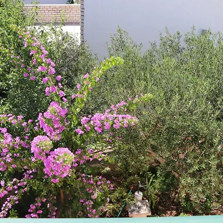 Beachfront Only 5 Meters From The Sea فيلة